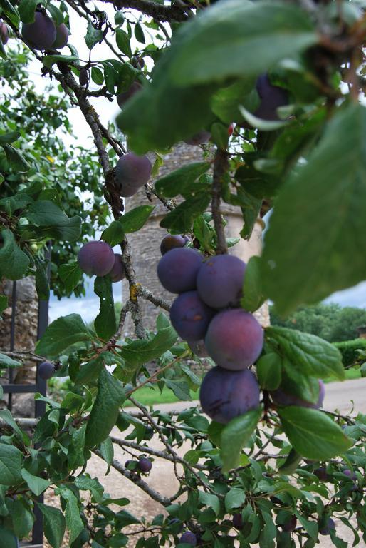 Mas De Garrigue Panzió Calvignac Kültér fotó